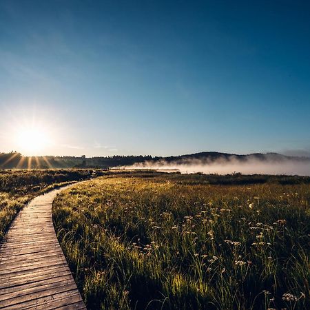Resort Olsina Horní Planá Dış mekan fotoğraf