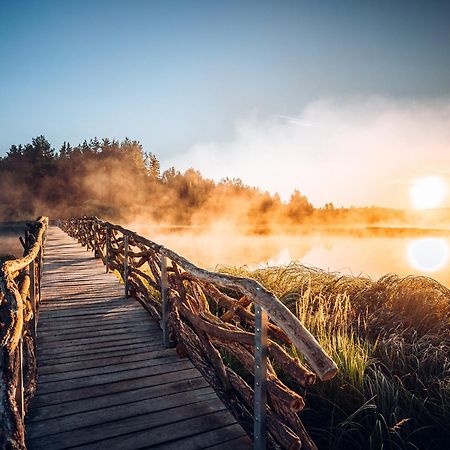 Resort Olsina Horní Planá Dış mekan fotoğraf