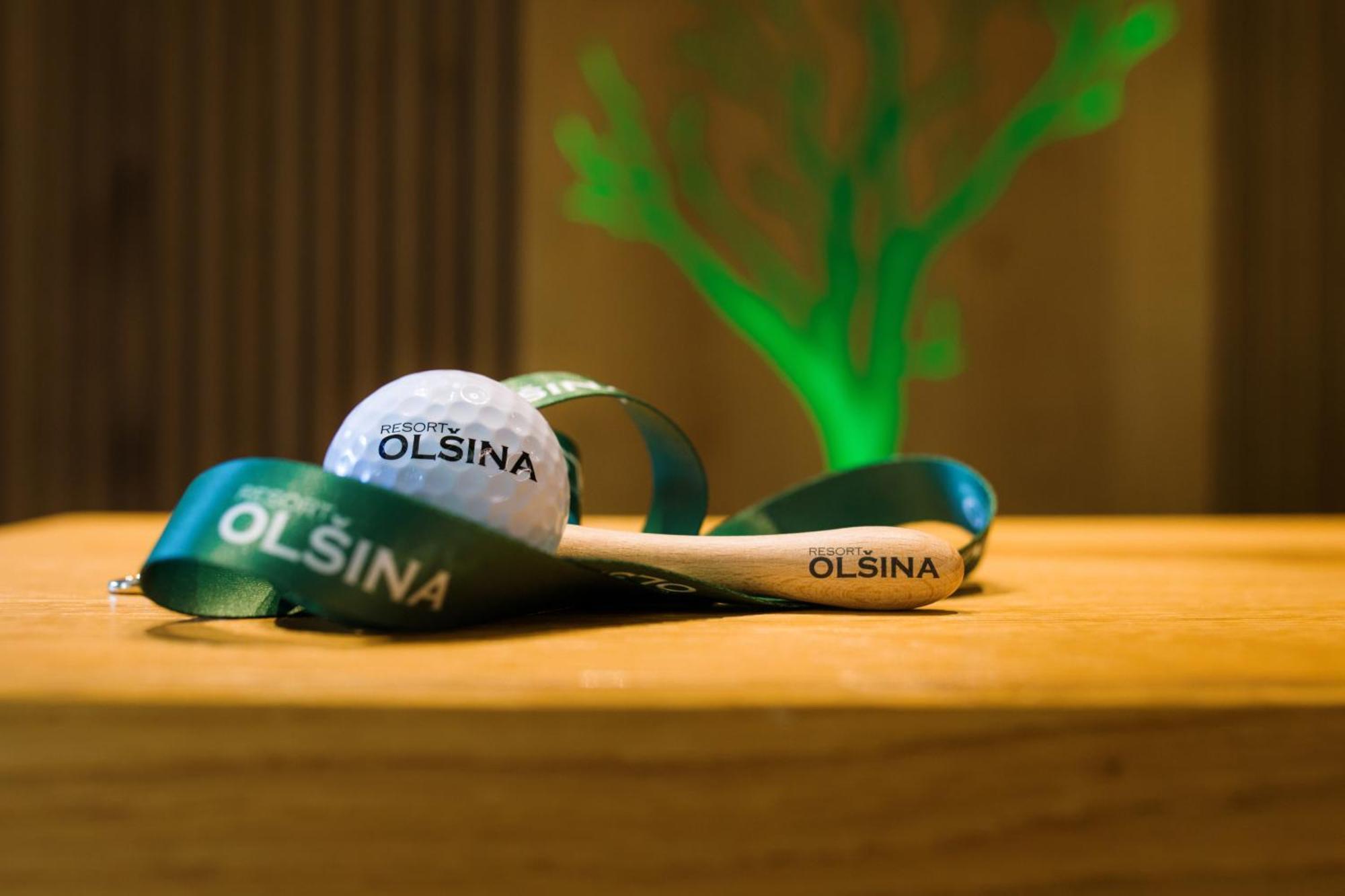 Resort Olsina Horní Planá Dış mekan fotoğraf