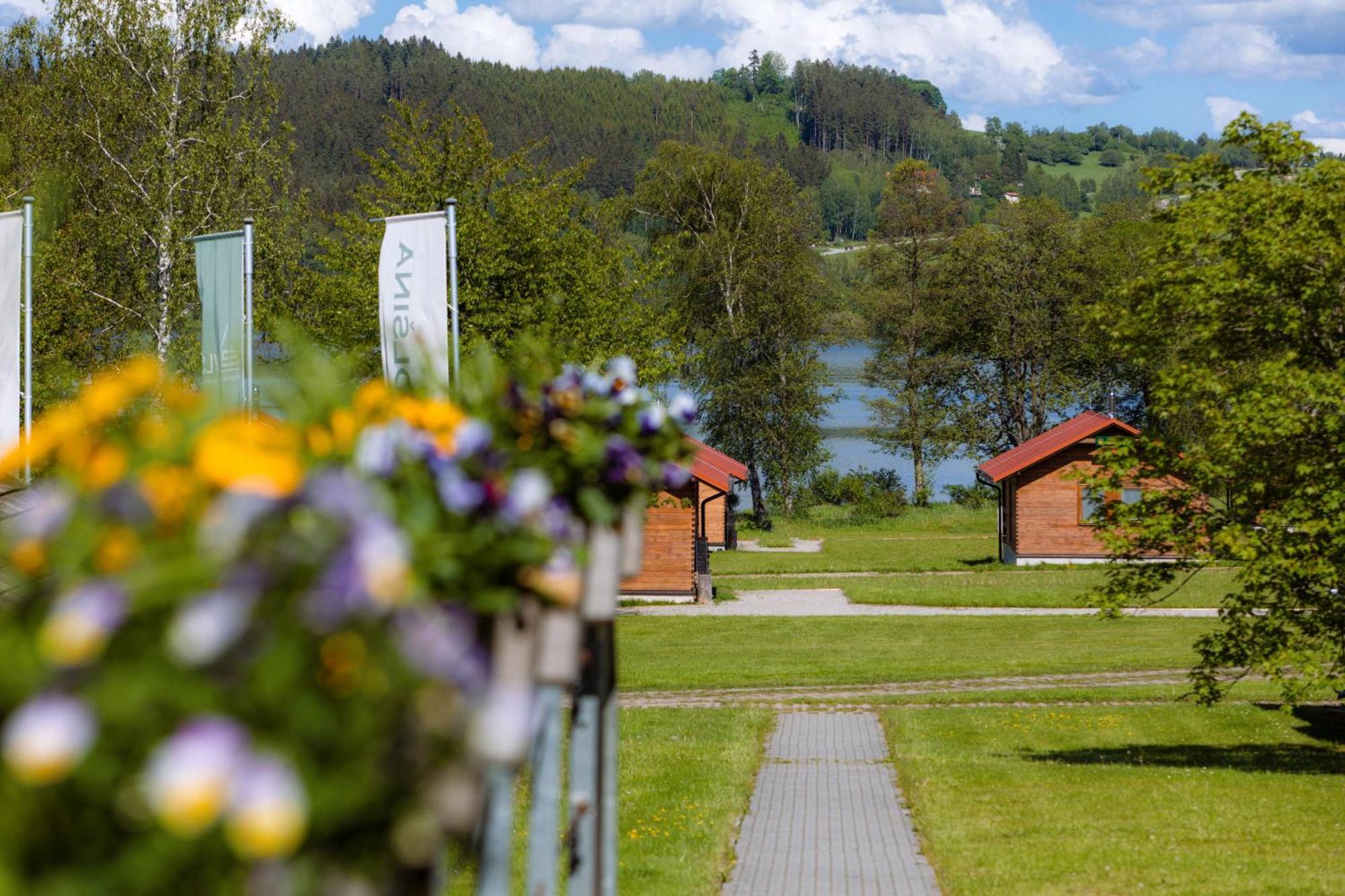 Resort Olsina Horní Planá Dış mekan fotoğraf