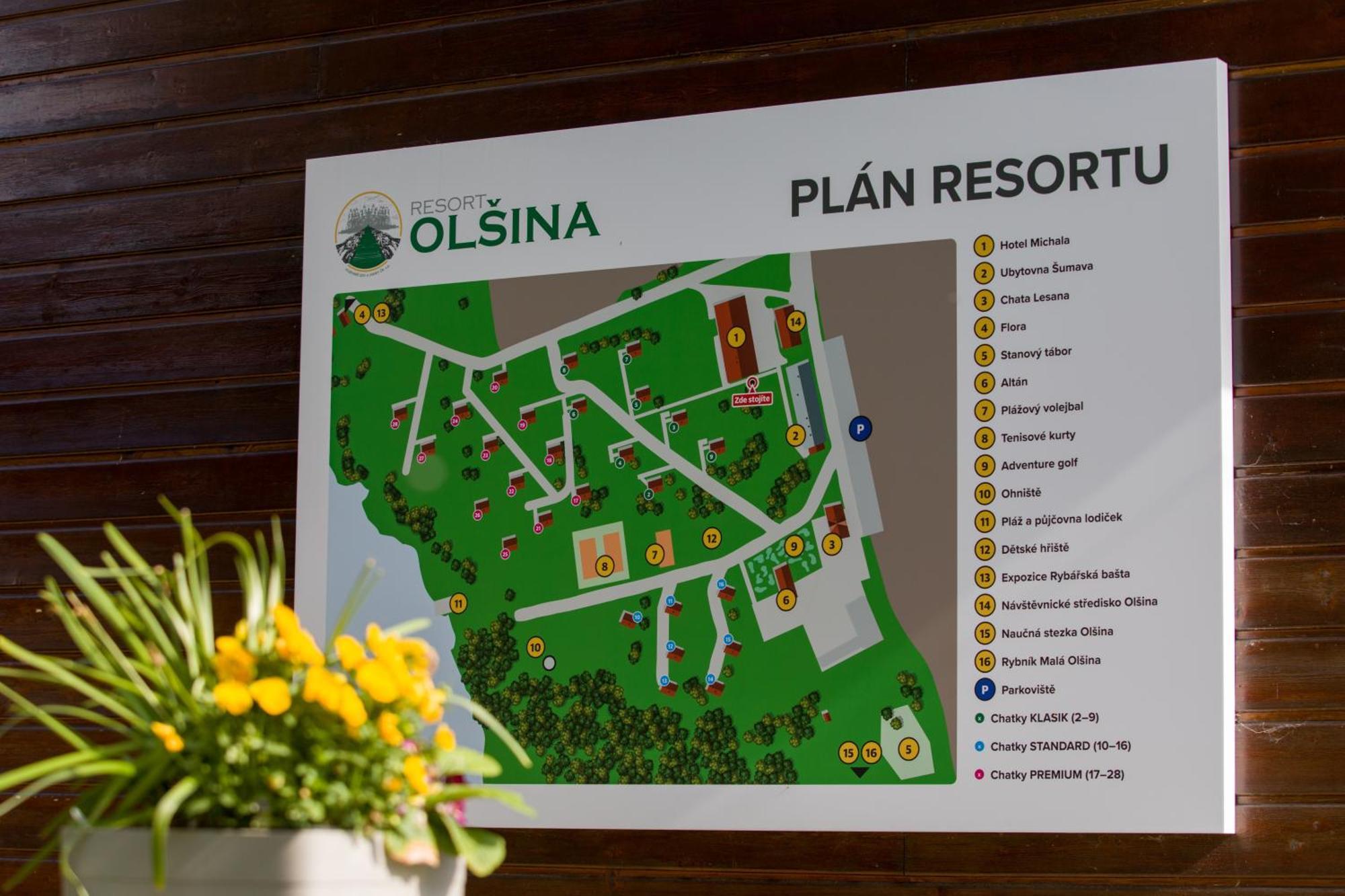 Resort Olsina Horní Planá Dış mekan fotoğraf
